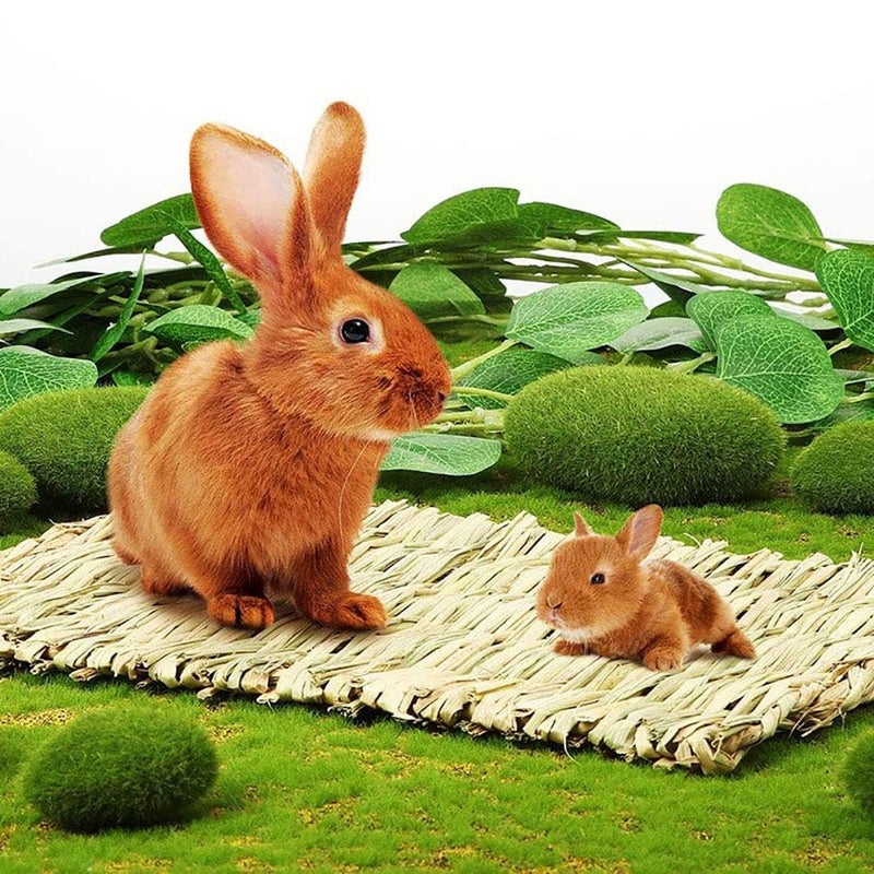 kathson 8 PCS Bunny Grass Mat Natural Woven Pet Bed Nest Mats Rabbits Chew Toys for Hamsters Parrot Rabbits Hedgehog Guinea Pig Bunny and Other Small Animals - Image 4
